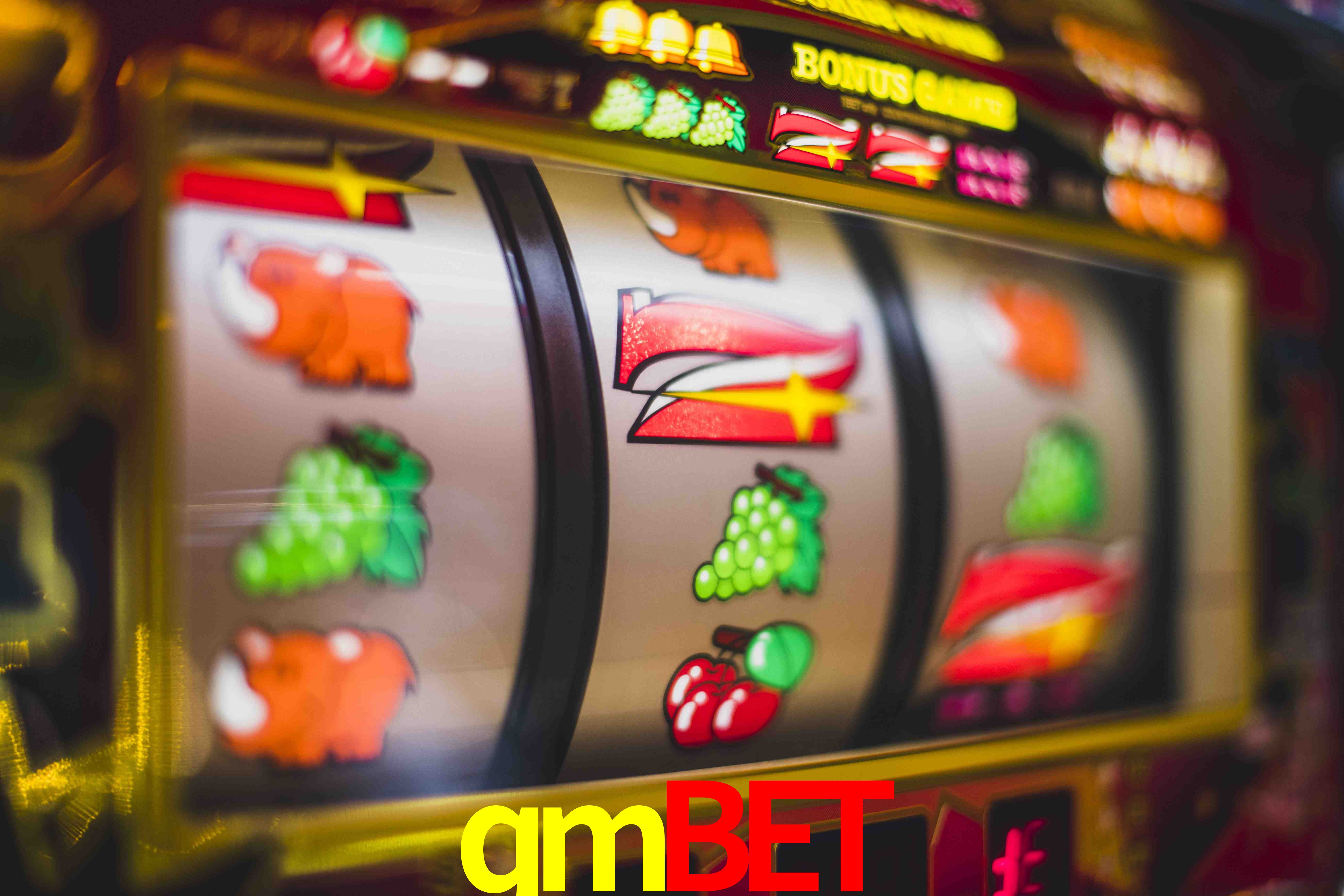 Sports Statistics qmbet